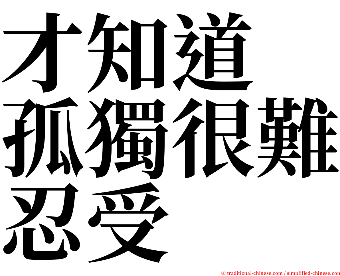 才知道　孤獨很難忍受 serif font
